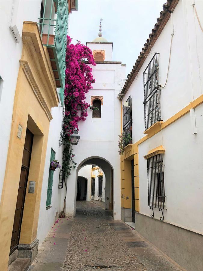 Entre 2 Mezquitas Apartamento 8 科爾多瓦 外观 照片