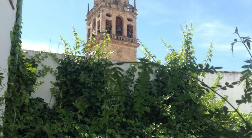 Entre 2 Mezquitas Apartamento 8 科爾多瓦 外观 照片
